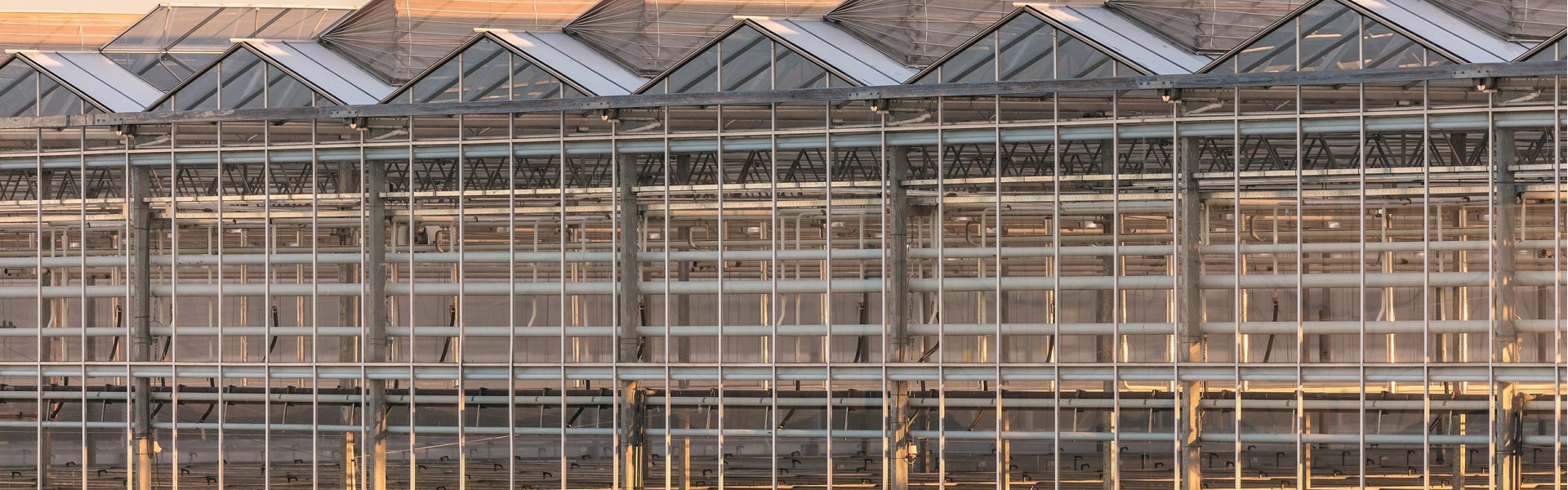 Erenoğlu Mühendislik Sera İmalat Slider Resim 1